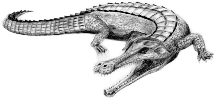 Reconstruction of Sarcosuchus, one of the largest crocodilian relatives.