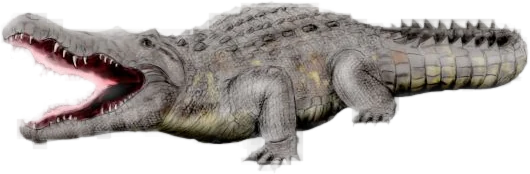 Side-profile reconstruction of an early Crocodylus, a direct ancestor of modern crocodiles.