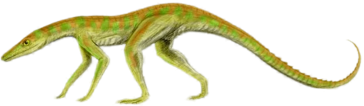 Side-profile reconstruction of an early crocodylomorph, a slender land-dwelling reptile.