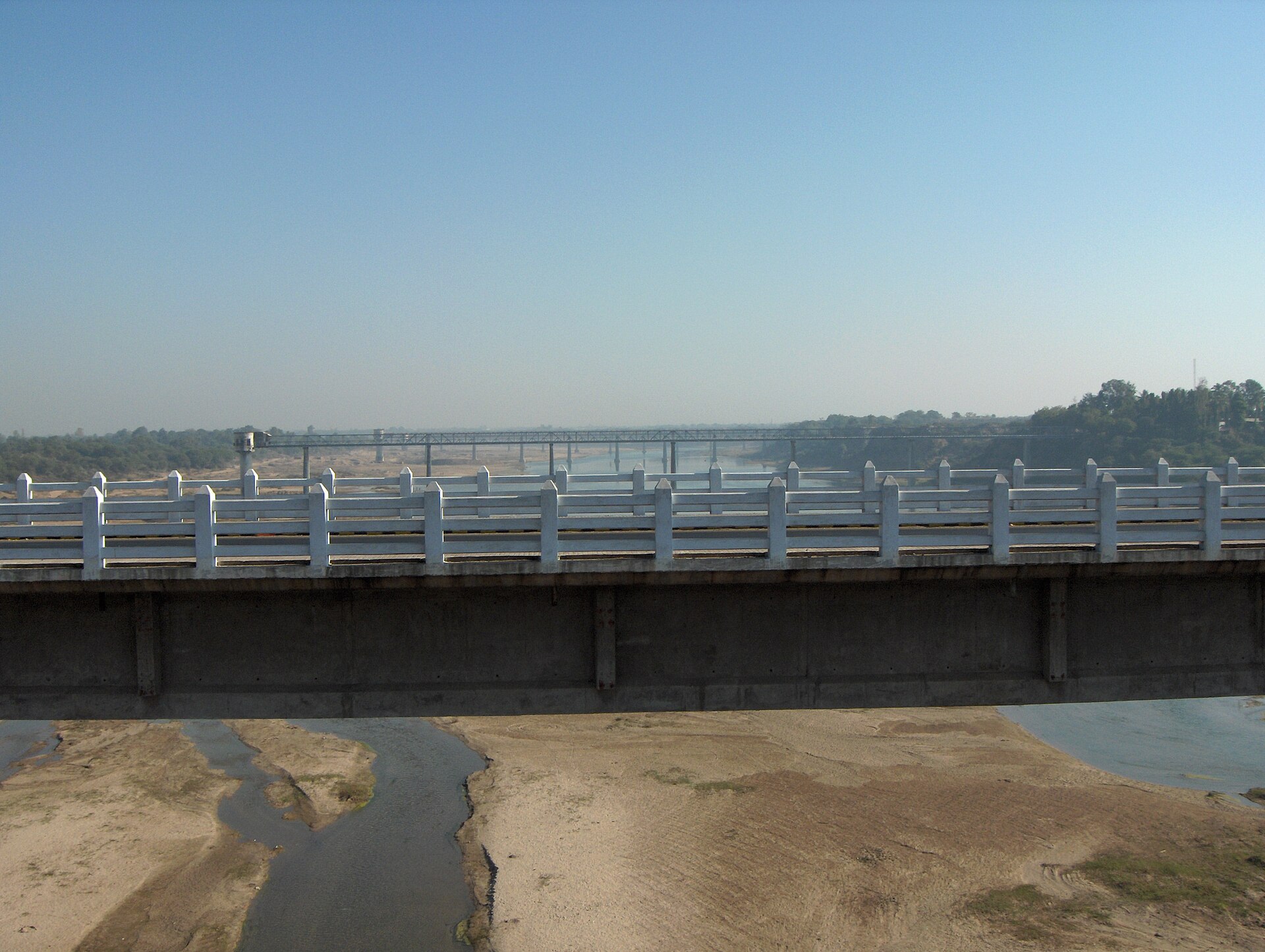 The Vishwamitri river flowing through greenery