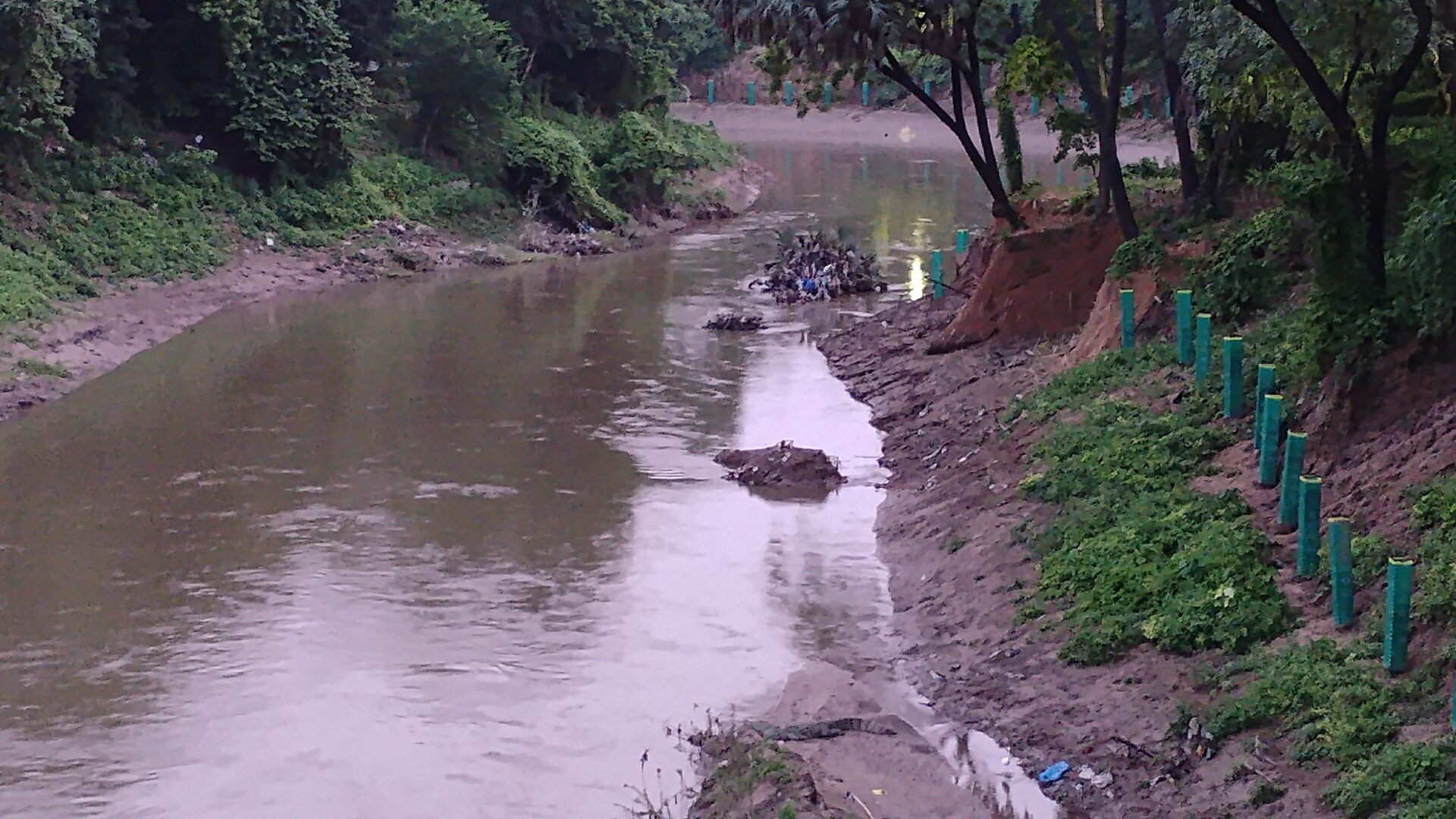 The Vishwamitri river winding through Vadodara
